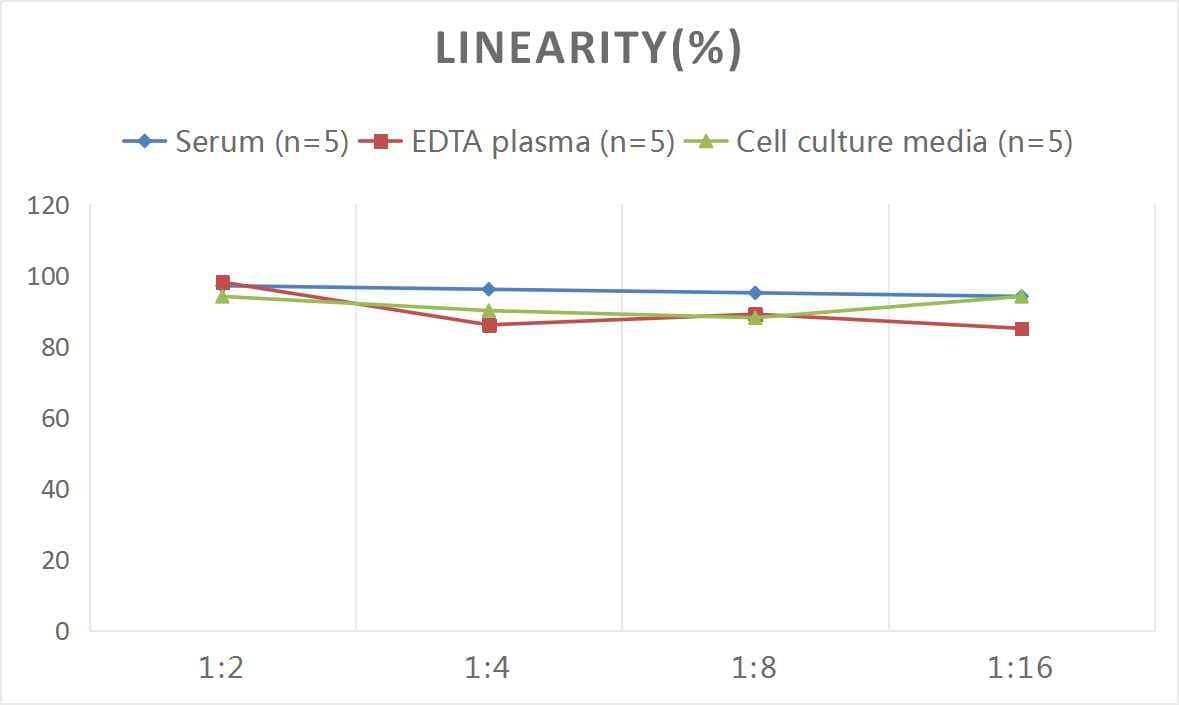 Human NK1R ELISA Kit (Colorimetric)