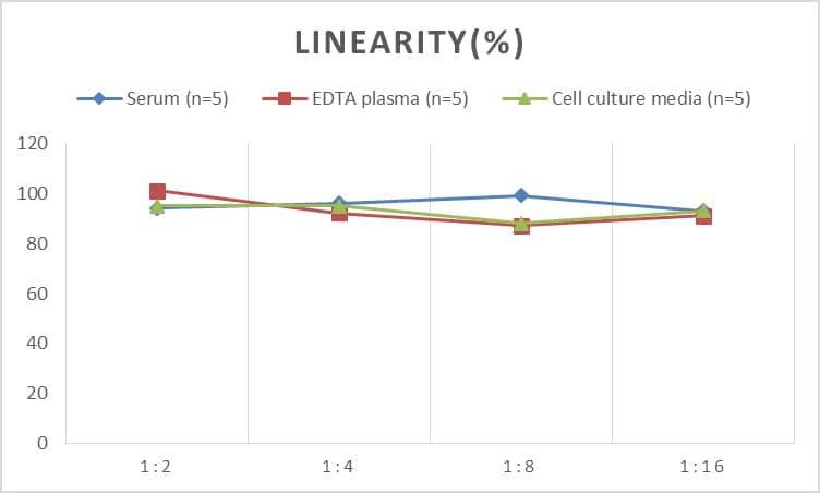 Rat NK1R ELISA Kit (Colorimetric)