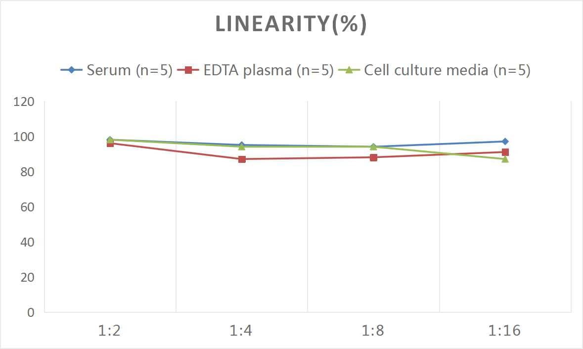 Human Noggin ELISA Kit (Colorimetric)