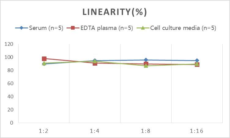 Human Synaptopodin ELISA Kit (Colorimetric)