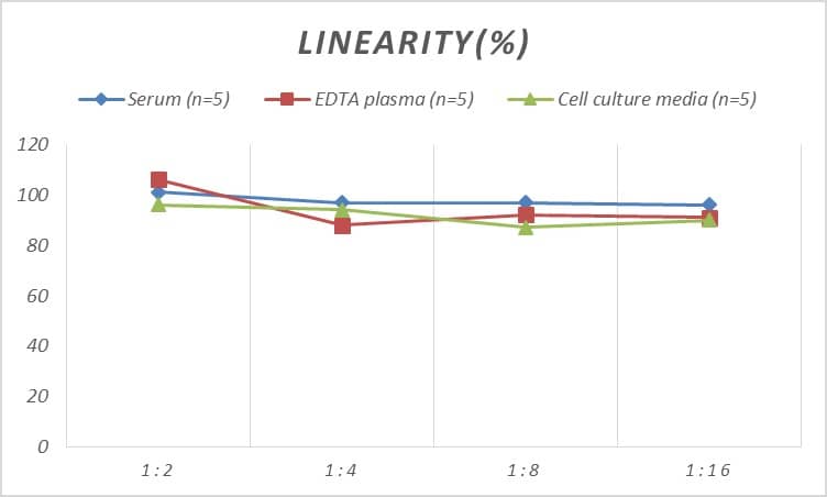 Rat SERP1 ELISA Kit (Colorimetric)