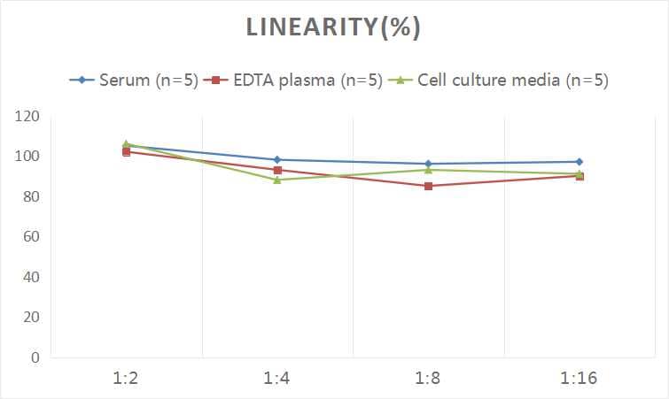 Human Occludin ELISA Kit (Colorimetric)