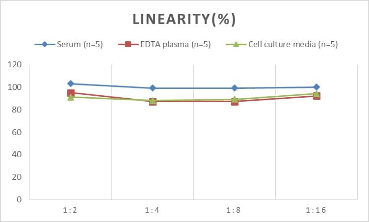 Rat Occludin ELISA Kit (Colorimetric)