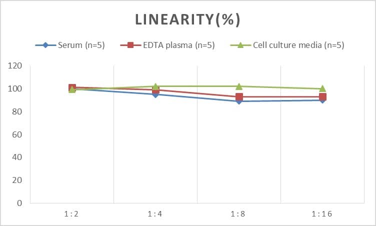 Rat Oxyntomodulin ELISA Kit (Colorimetric)