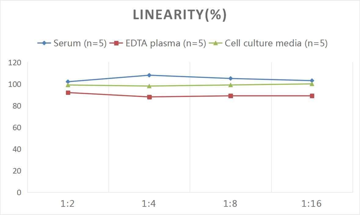 Rat Procollagen Type III ELISA Kit (Colorimetric)