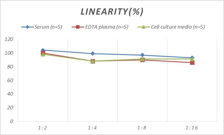 Human INSL5 ELISA Kit (Colorimetric)