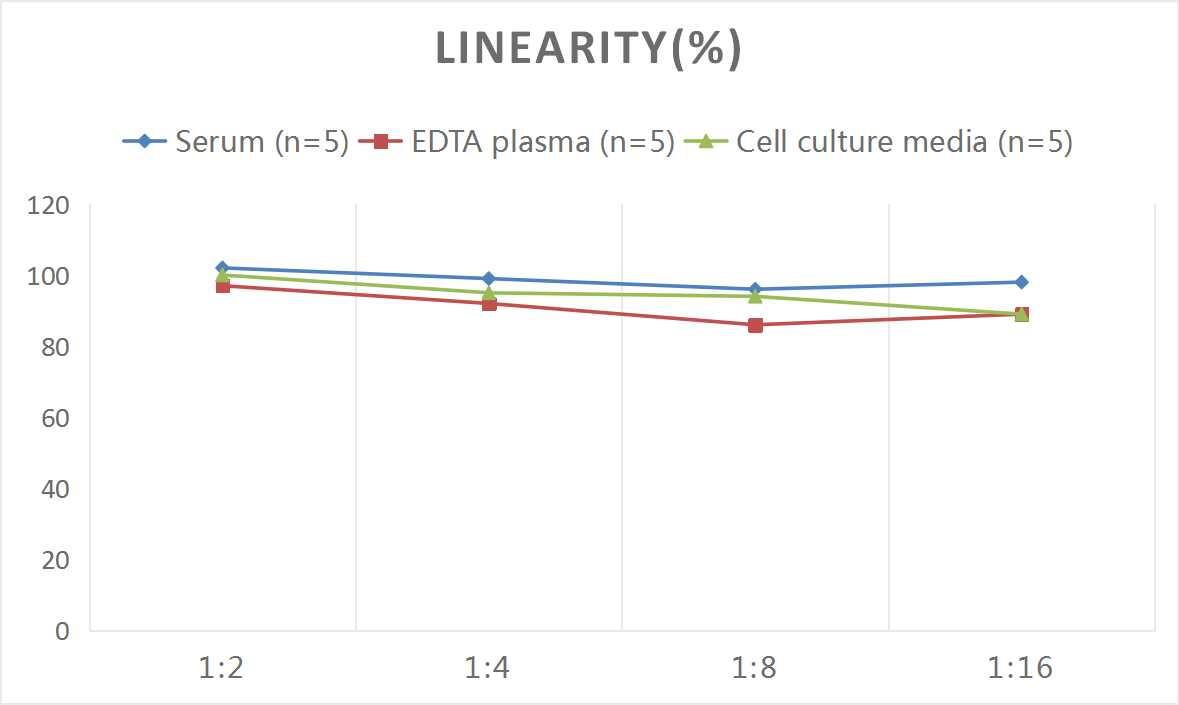 Rat LOX-1/OLR1 ELISA Kit (Colorimetric)