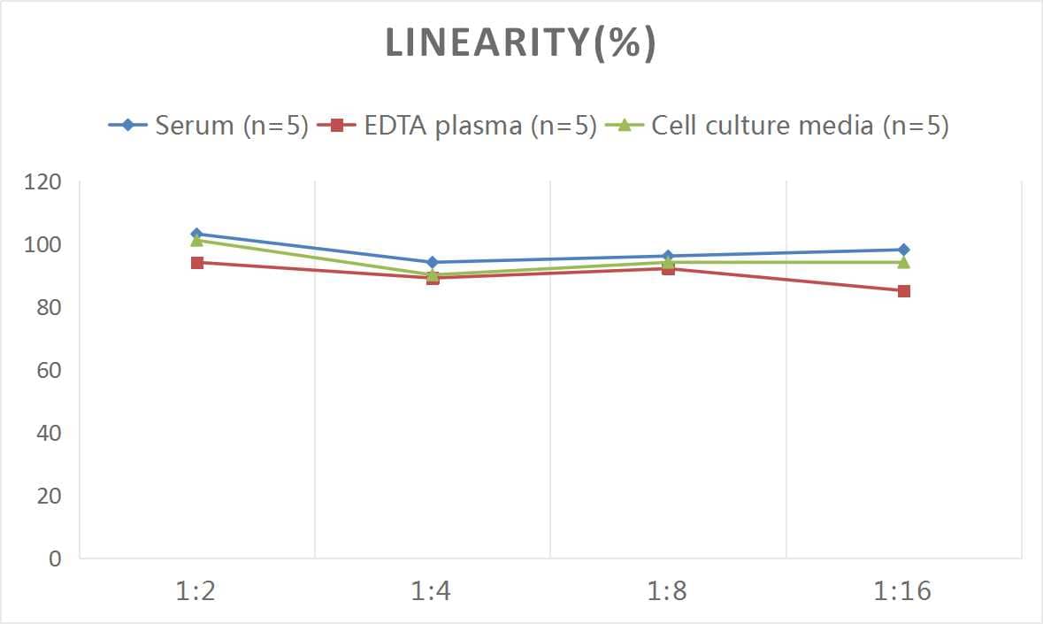 Rat PLA2G7/PAF-AH/Lp-PLA2 ELISA Kit (Colorimetric)