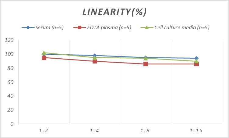 Human Muscarinic Acetylcholine Receptor M1/CHRM1 ELISA Kit (Colorimetric)