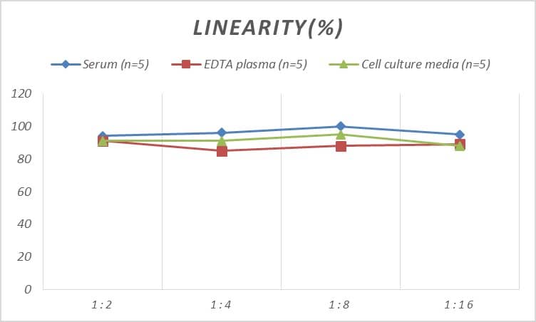 Human Muscarinic Acetylcholine Receptor M3/CHRM3 ELISA Kit (Colorimetric)