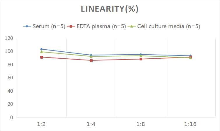 Human MANF ELISA Kit (Colorimetric)