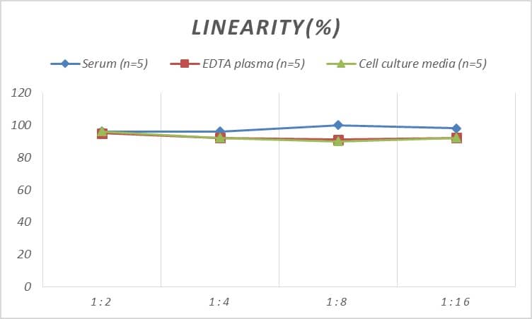 Rat MAO-A ELISA Kit (Colorimetric)