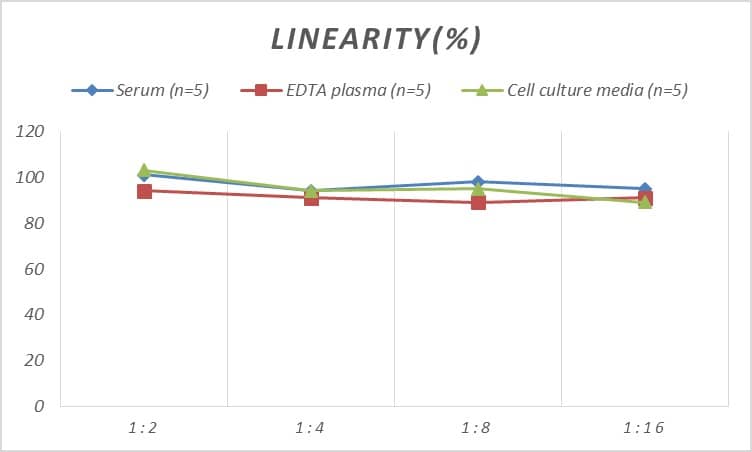 Rat Monoamine Oxidase B ELISA Kit (Colorimetric)