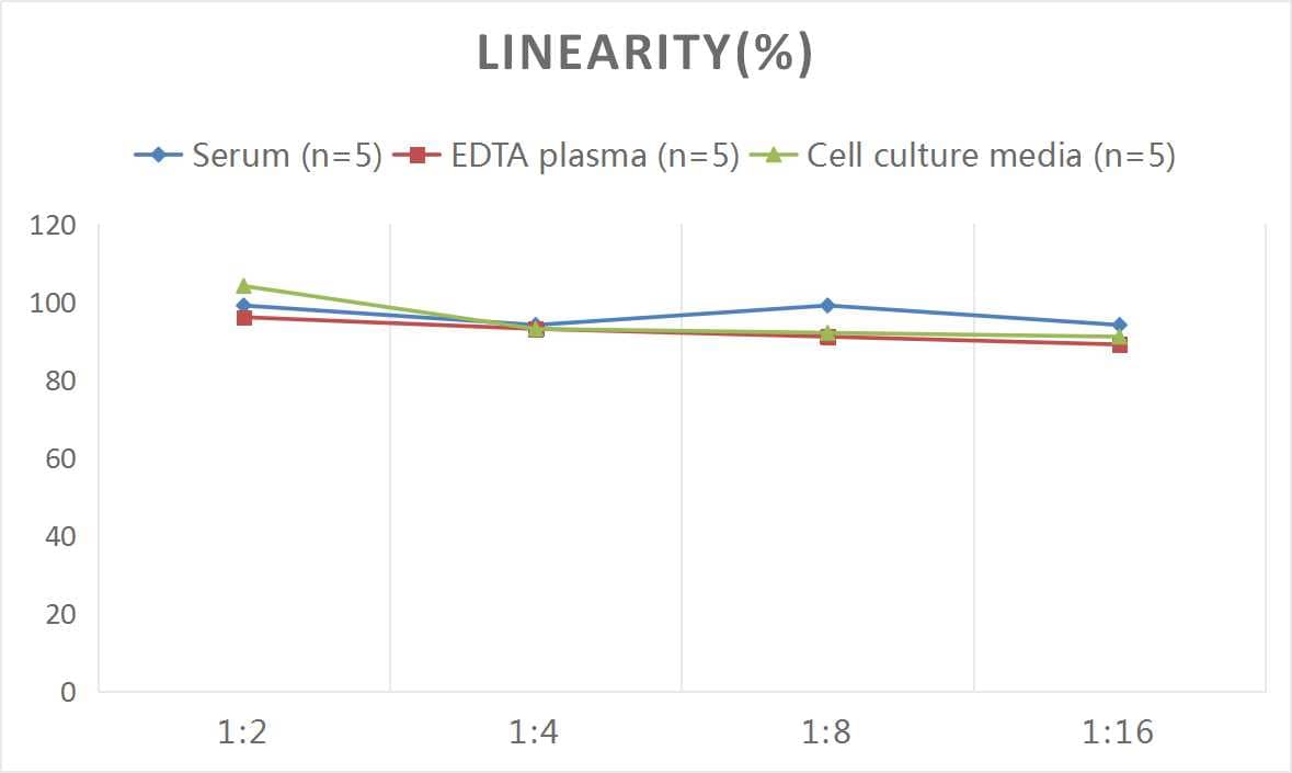 Mouse Tau ELISA Kit (Colorimetric)