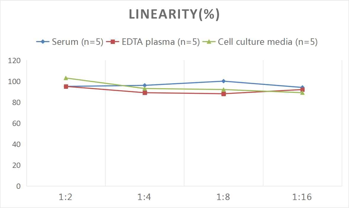 Rat Tau ELISA Kit (Colorimetric)