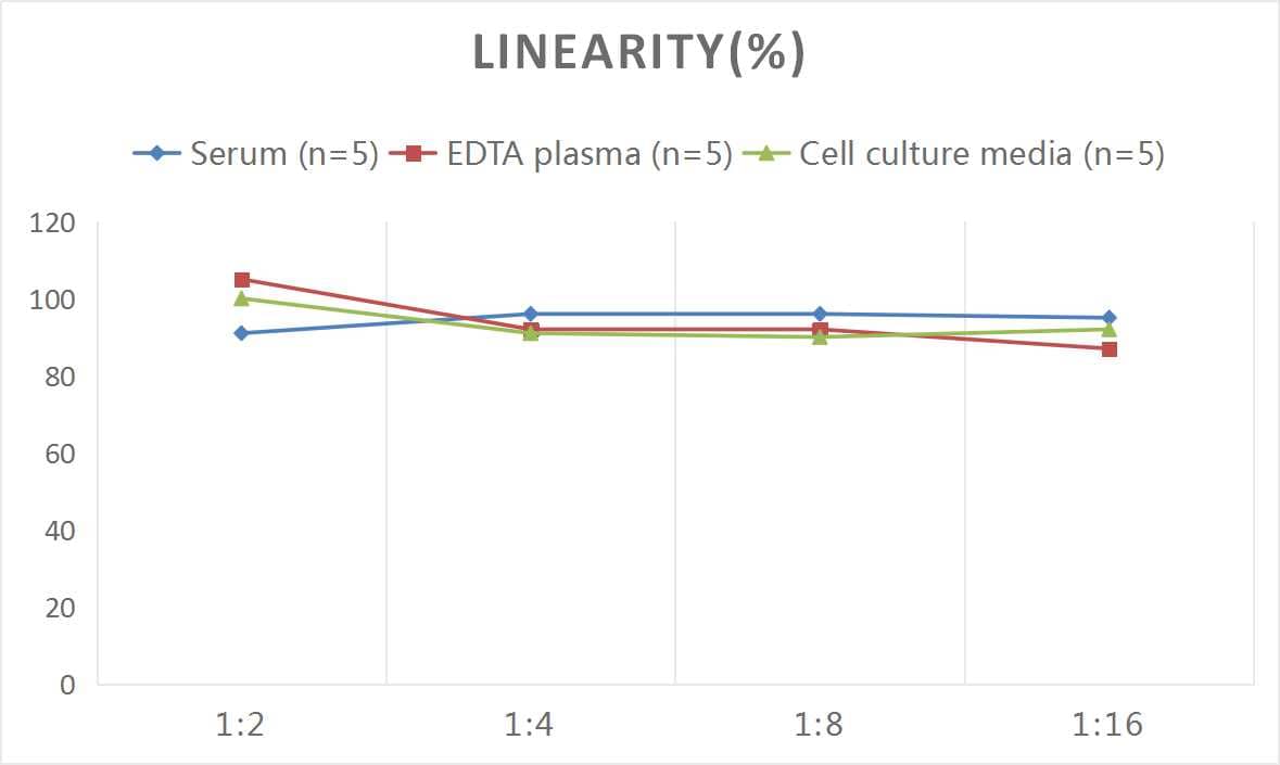 Mouse MBP ELISA Kit (Colorimetric)