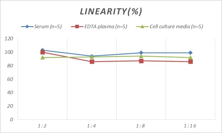 Rat MBL-2 ELISA Kit (Colorimetric)