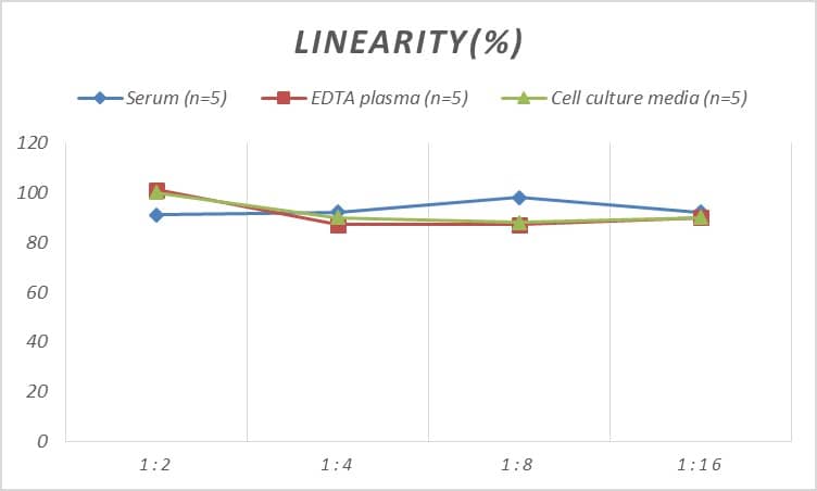 Human MOG ELISA Kit (Colorimetric)