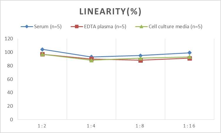 Mouse MOG ELISA Kit (Colorimetric)