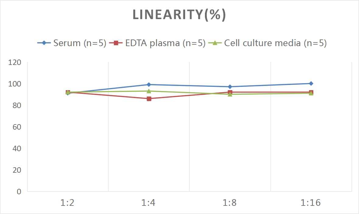 Rat NAGase ELISA Kit (Colorimetric)