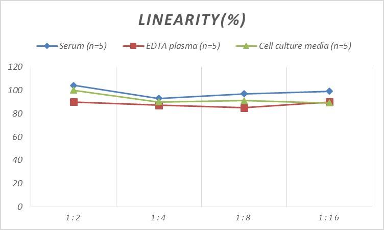 Human NAIP ELISA Kit (Colorimetric)