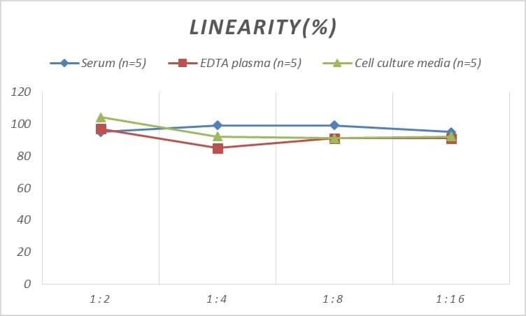 Mouse N-Cadherin ELISA Kit (Colorimetric)