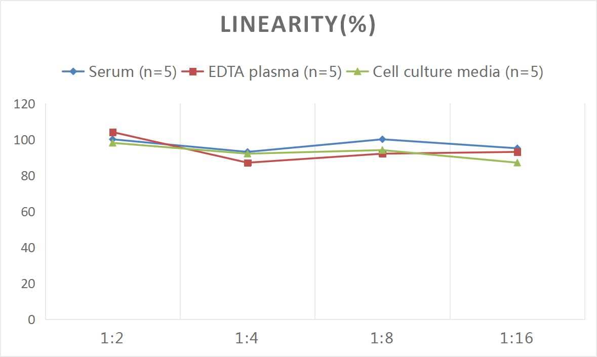 Mouse NCAM-1/CD56 ELISA Kit (Colorimetric)