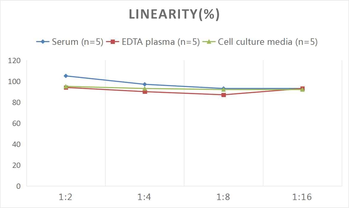 Rat NCAM-1/CD56 ELISA Kit (Colorimetric)