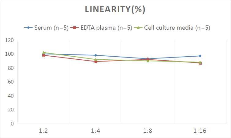 Human NF-L ELISA Kit (Colorimetric)