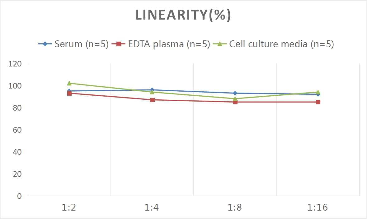 Mouse beta-NGF ELISA Kit (Colorimetric)