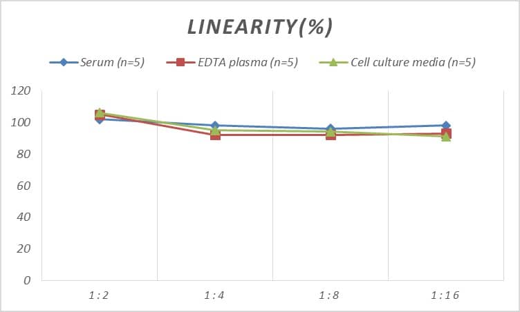 Human OCT1 ELISA Kit (Colorimetric)