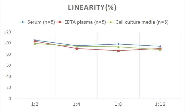 Human OCT4 ELISA Kit (Colorimetric)