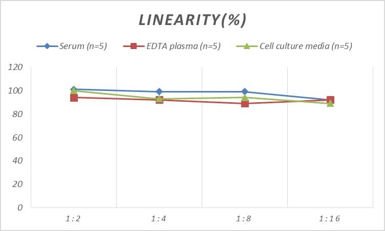 Human PCK1 ELISA Kit (Colorimetric)