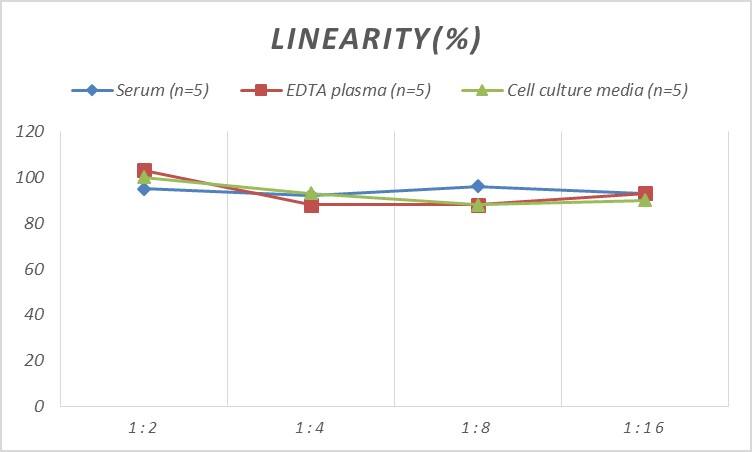 Rat PCK1 ELISA Kit (Colorimetric)