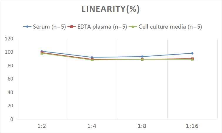 Human PCPE-1/PCOLCE ELISA Kit (Colorimetric)