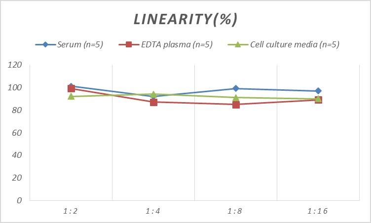 Rat Pyruvate Dehydrogenase E1-alpha subunit ELISA Kit (Colorimetric)