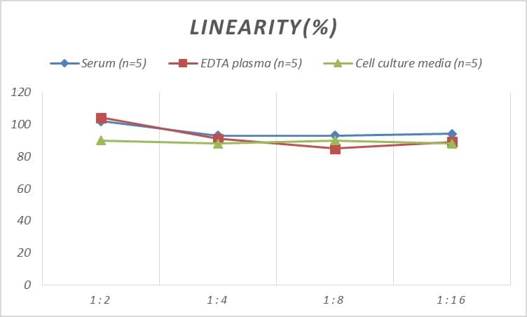 Rat Protein Disulfide Isomerase/P4HB ELISA Kit (Colorimetric)