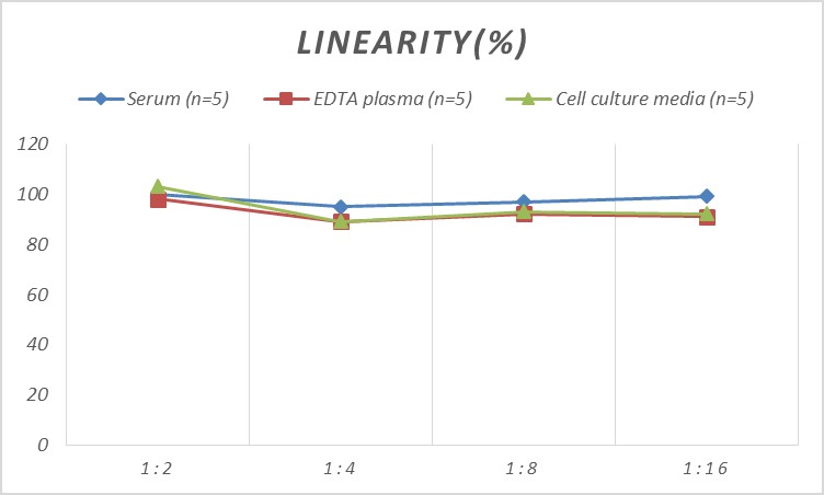 Human PDIR ELISA Kit (Colorimetric)