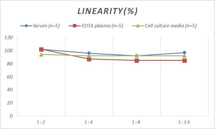 Human PDIA6 ELISA Kit (Colorimetric)