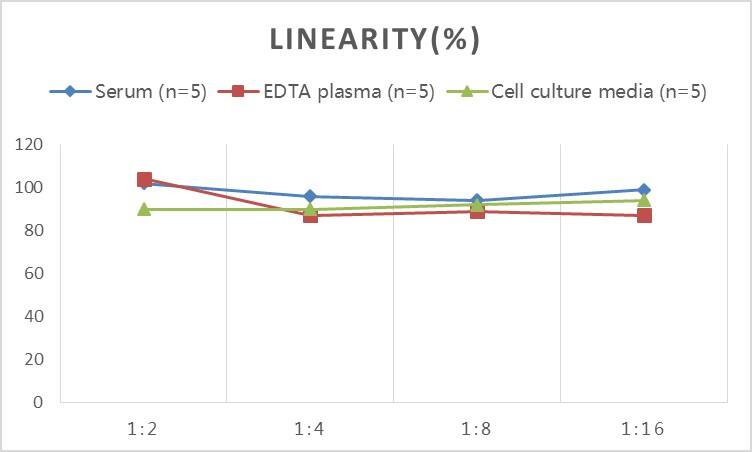 Human PDK4 ELISA Kit (Colorimetric)