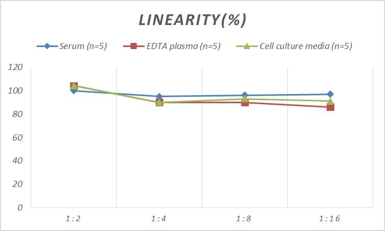 Rat PDK4 ELISA Kit (Colorimetric)