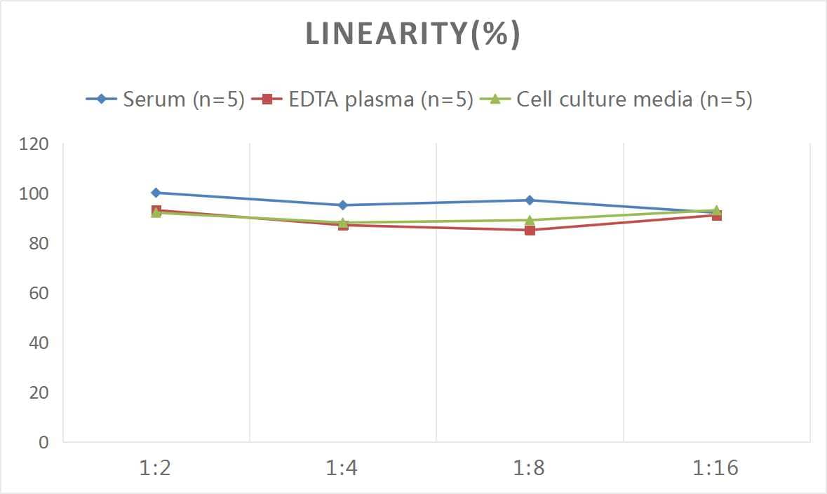 Human Podoplanin ELISA Kit (Colorimetric)