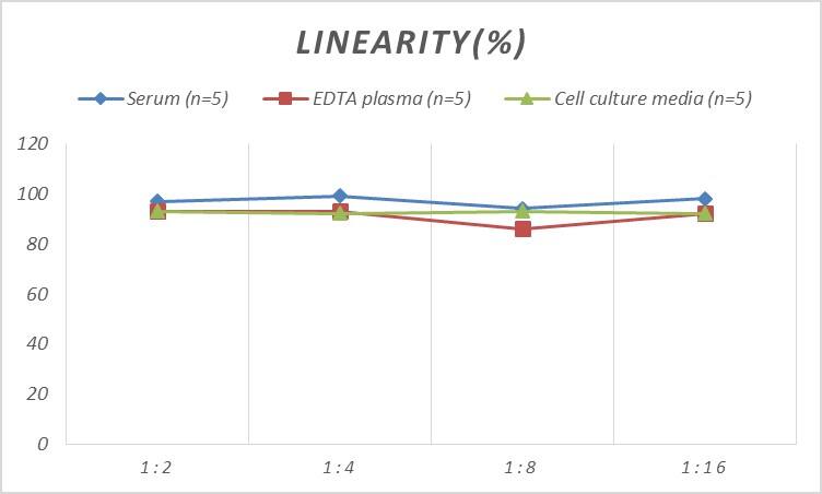 Rat Podoplanin ELISA Kit (Colorimetric)