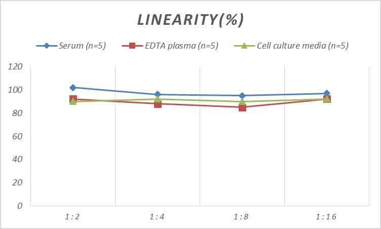 Rat PEMT ELISA Kit (Colorimetric)