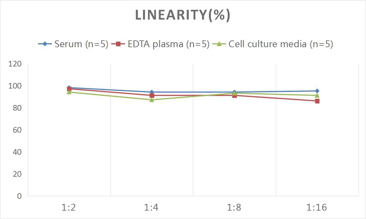 Human PEPD ELISA Kit (Colorimetric)