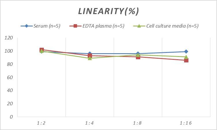 Human PGAM2 ELISA Kit (Colorimetric)