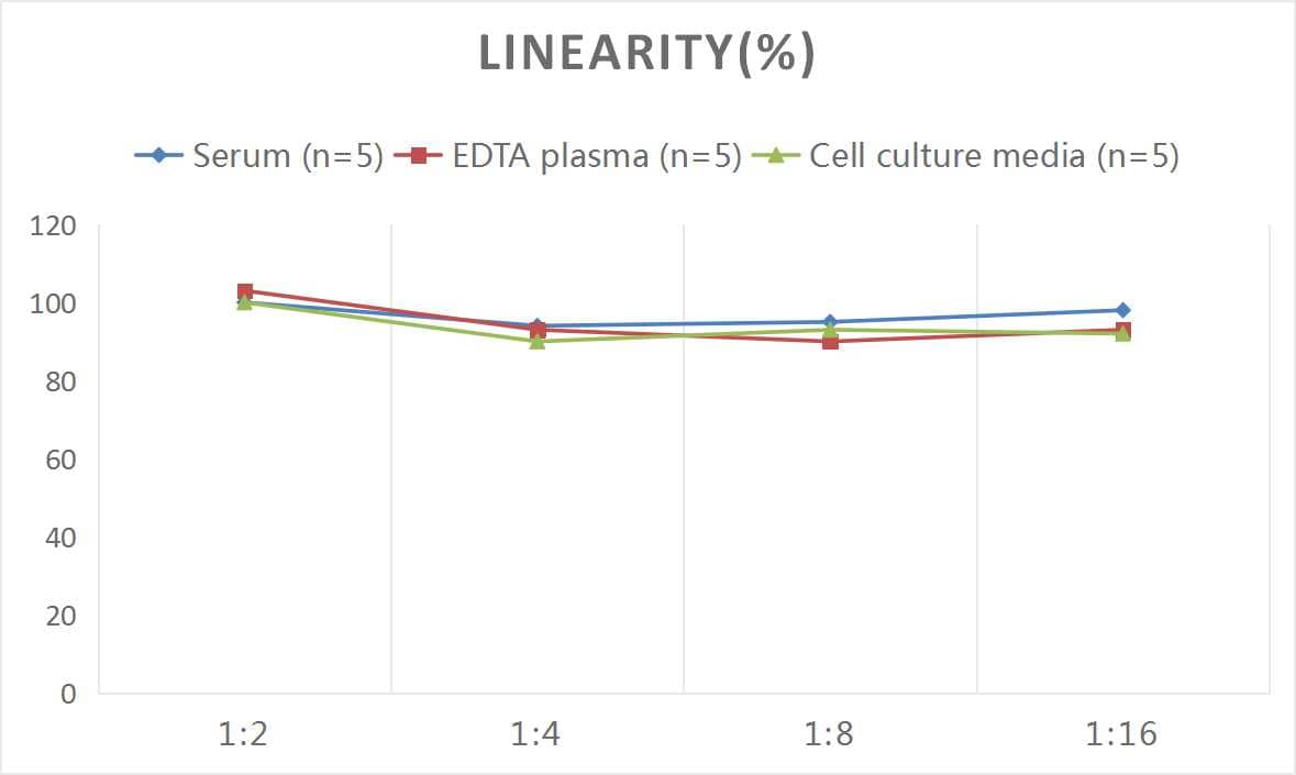 Rat Procollagen Type 1 C-Terminal Propeptide ELISA Kit (Colorimetric)