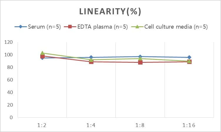 Human Pancreatic Lipase ELISA Kit (Colorimetric)