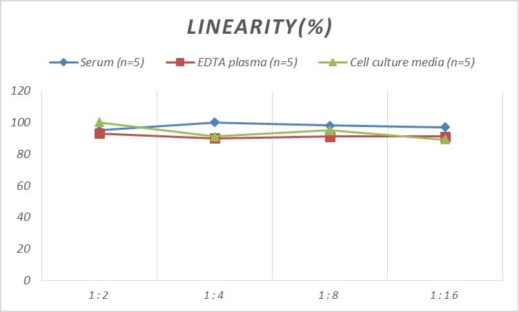 Rat Pancreatic Lipase ELISA Kit (Colorimetric)