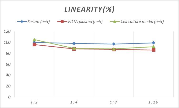 Human PLOD3 ELISA Kit (Colorimetric)